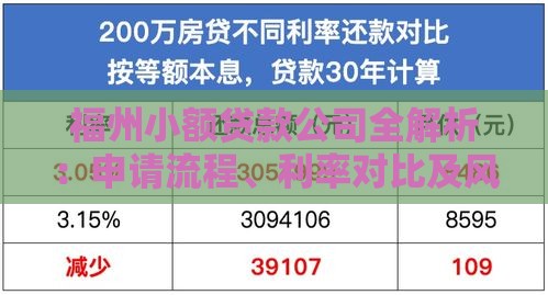 福州小额贷款公司全解析：申请流程、利率对比及风险提示