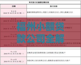 福州小额贷款公司全解析：申请流程、利率对比及风险提示