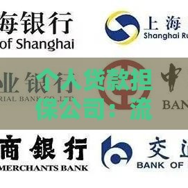 个人贷款担保公司：流程、条件、风险全解析