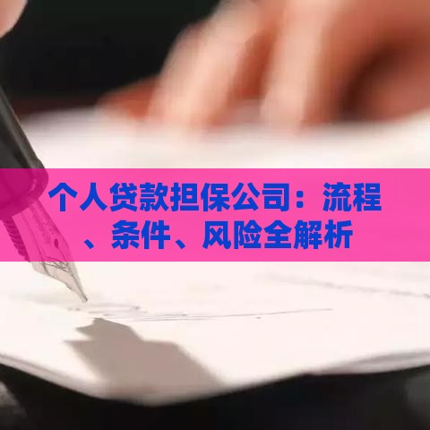 个人贷款担保公司：流程、条件、风险全解析