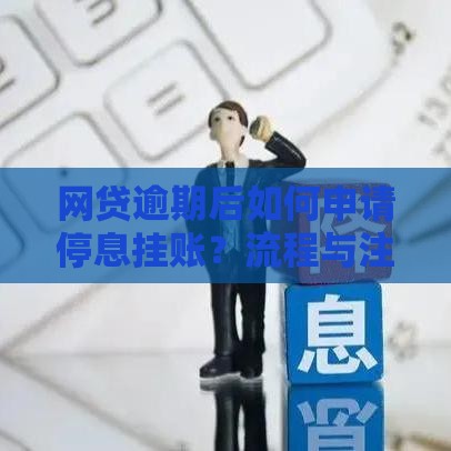 网贷逾期后如何申请停息挂账？流程与注意事项