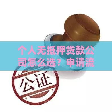 个人无抵押贷款公司怎么选？申请流程与避坑指南
