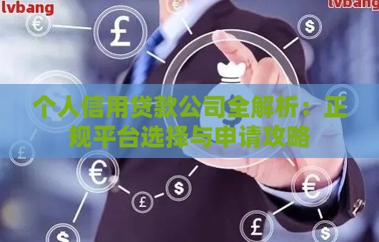 个人信用贷款公司全解析：正规平台选择与申请攻略