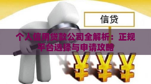 个人信用贷款公司全解析：正规平台选择与申请攻略