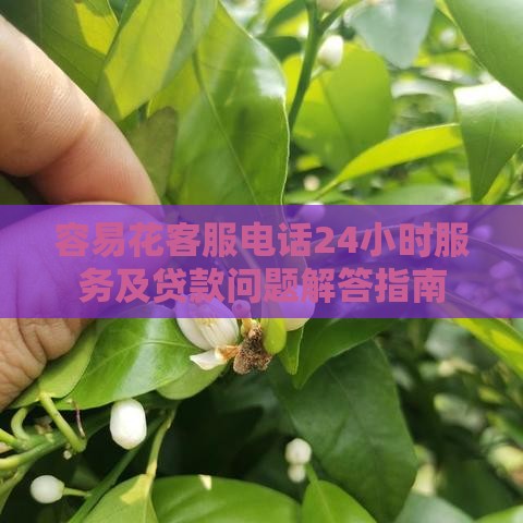 容易花客服电话24小时服务及贷款问题解答指南