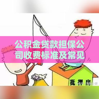公积金贷款担保公司收费标准及常见问题解答