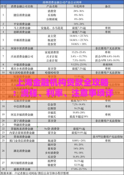 上海金融机构贷款全攻略：流程、利率、注意事项详解