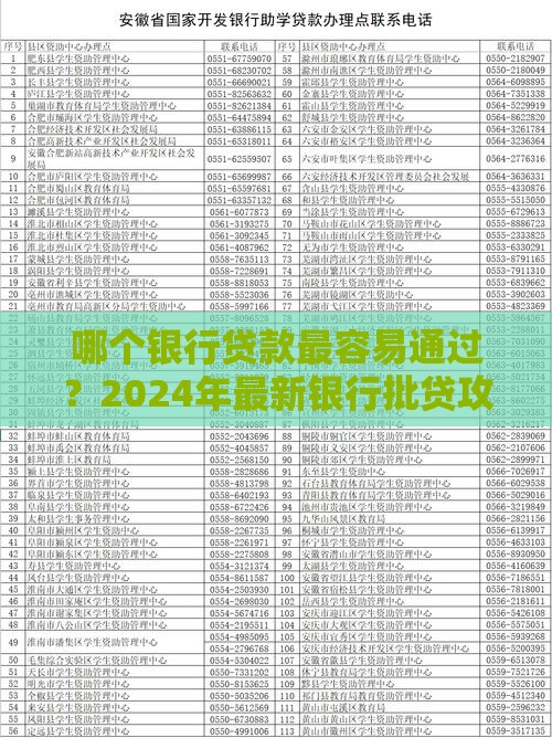 哪个银行贷款最容易通过？2024年最新银行批贷攻略