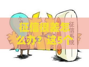 征信很差怎么办？这5个合法借钱渠道或许能帮到你