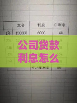 公司贷款利息怎么算？详细步骤与案例分析