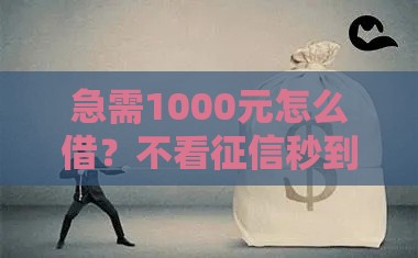 急需1000元怎么借？不看征信秒到账的借款渠道推荐