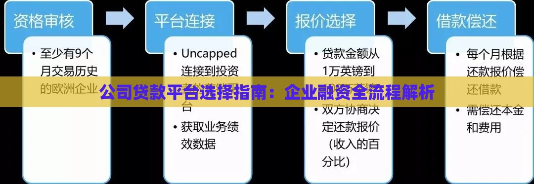 公司贷款平台选择指南：企业融资全流程解析