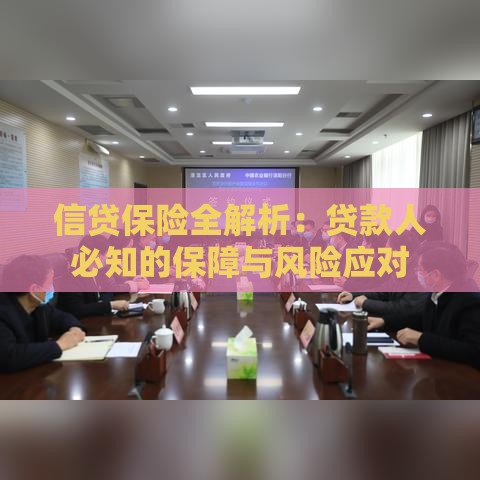 信贷保险全解析：贷款人必知的保障与风险应对