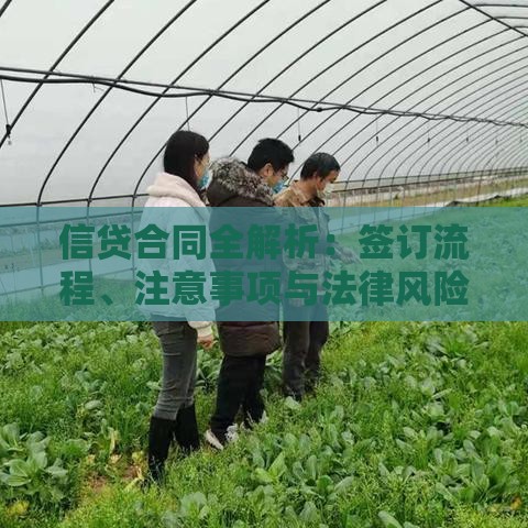 信贷合同全解析：签订流程、注意事项与法律风险