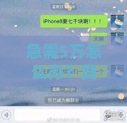 急需5万怎么办？贷不了款的终极解决方案大公开