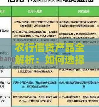 农行信贷产品全解析：如何选择最适合你的贷款方案？