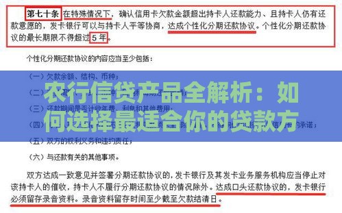 农行信贷产品全解析：如何选择最适合你的贷款方案？
