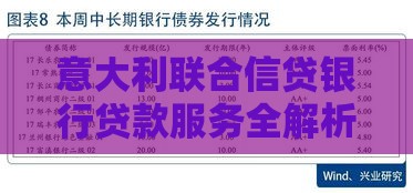 意大利联合信贷银行贷款服务全解析:低利率方案与申请指南 意大利联合信贷银行贷款服务全解析:低利率方案与申请指南