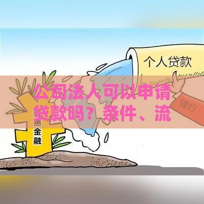公司法人可以申请贷款吗？条件、流程、注意事项全解析