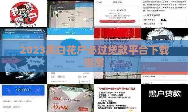 2023黑白花户必过贷款平台下载指南