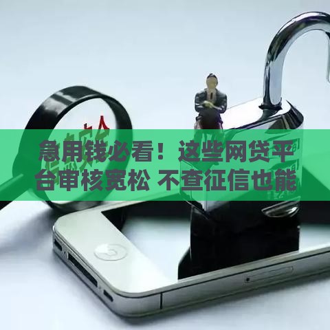 急用钱必看！这些网贷平台审核宽松 不查征信也能快速下款