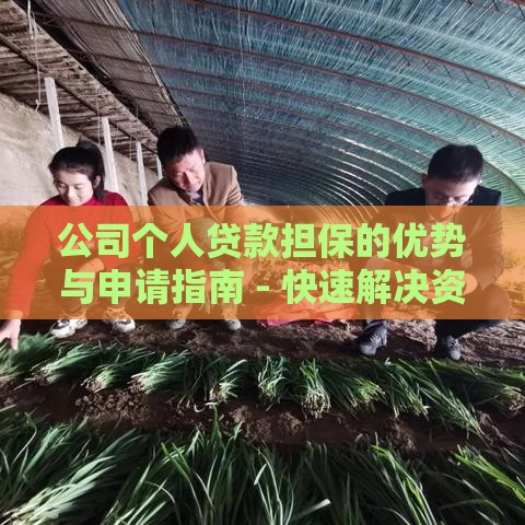 公司个人贷款担保的优势与申请指南 - 快速解决资金需求