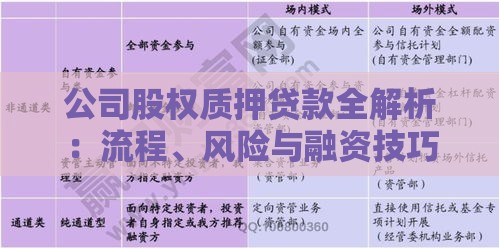 公司股权质押贷款全解析：流程、风险与融资技巧