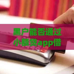 黑户能否通过小额贷app借款？真实情况与风险分析