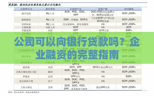 公司可以向银行贷款吗？企业融资的完整指南
