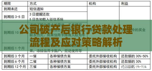 公司破产后银行贷款处理流程及应对策略解析