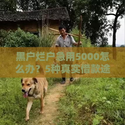 黑户烂户急用5000怎么办？5种真实借款途径解析