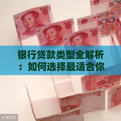 银行贷款类型全解析：如何选择最适合你的融资方案