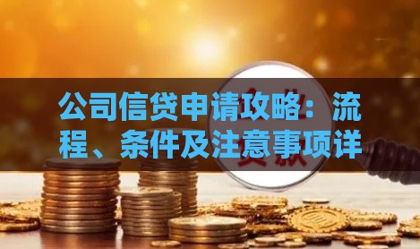 公司信贷申请攻略：流程、条件及注意事项详解
