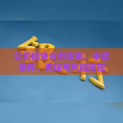 公司信贷业务指南：申请条件、流程与风险防控