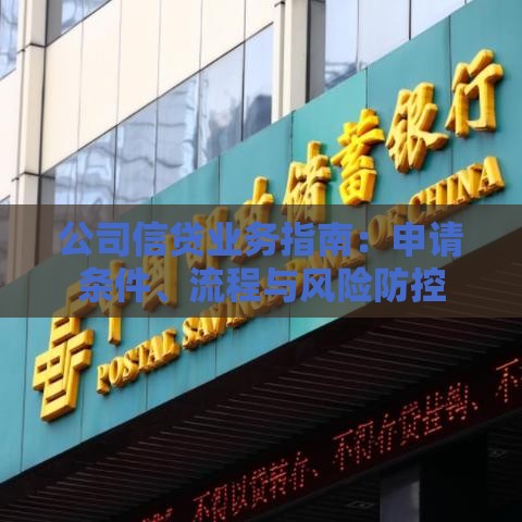 公司信贷业务指南：申请条件、流程与风险防控