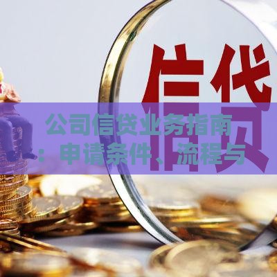 公司信贷业务指南：申请条件、流程与风险防控