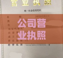 公司营业执照贷款流程、条件、注意事项全解析