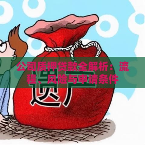 公司质押贷款全解析：流程、风险与申请条件