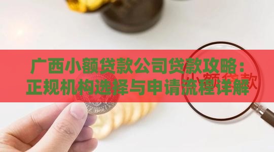广西小额贷款公司贷款攻略：正规机构选择与申请流程详解