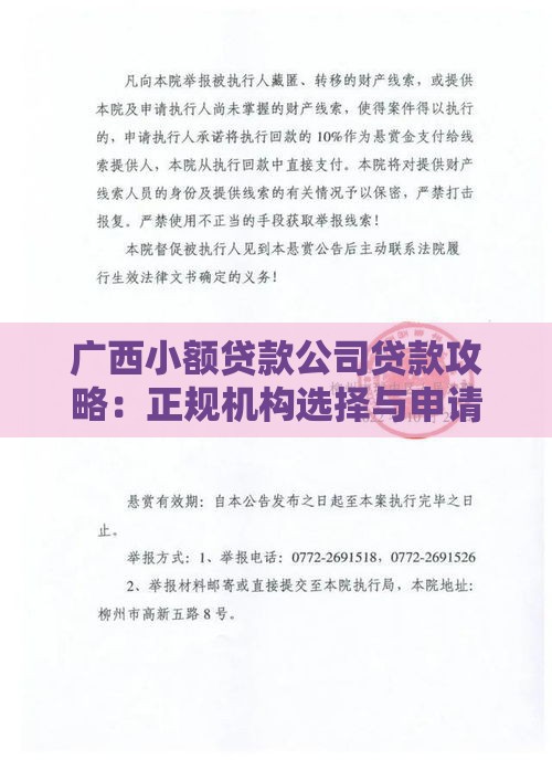广西小额贷款公司贷款攻略：正规机构选择与申请流程详解