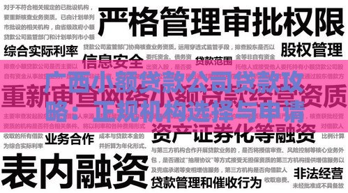 广西小额贷款公司贷款攻略：正规机构选择与申请流程详解