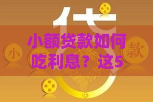 小额贷款如何吃利息？这5个技巧帮你轻松赚差价