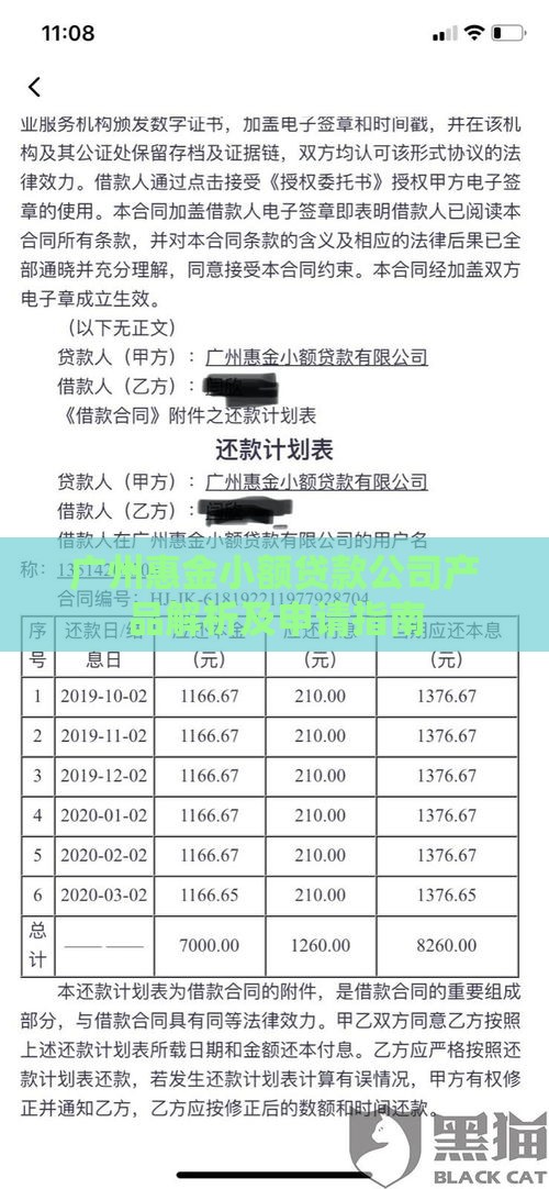 广州惠金小额贷款公司产品解析及申请指南