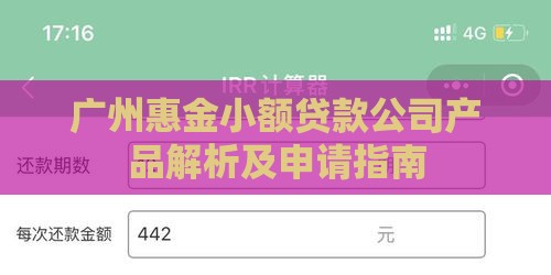 广州惠金小额贷款公司产品解析及申请指南