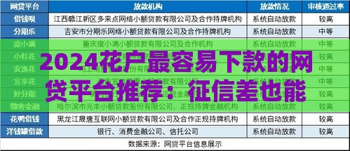 2024花户最容易下款的网贷平台推荐：征信差也能快速到账