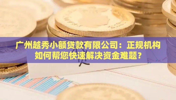 广州越秀小额贷款有限公司：正规机构如何帮您快速解决资金难题？
