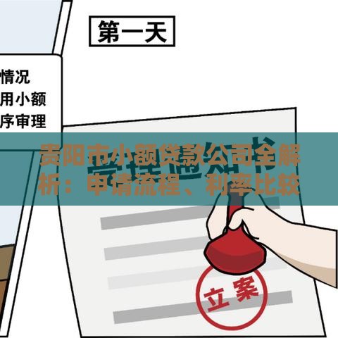 贵阳市小额贷款公司全解析：申请流程、利率比较及避坑指南