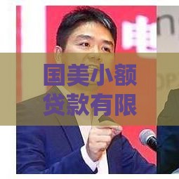 国美小额贷款有限公司：专业贷款服务解析与申请指南