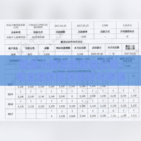国美小额贷款有限公司：专业贷款服务解析与申请指南
