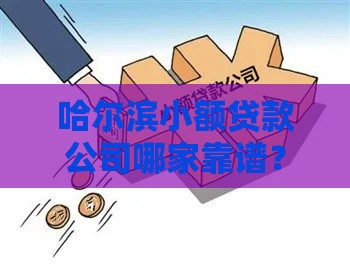 哈尔滨小额贷款公司哪家靠谱?申请条件、流程及避坑指南全解析 哈尔滨小额贷款公司哪家靠谱?申请条件、流程及避坑指南全解析